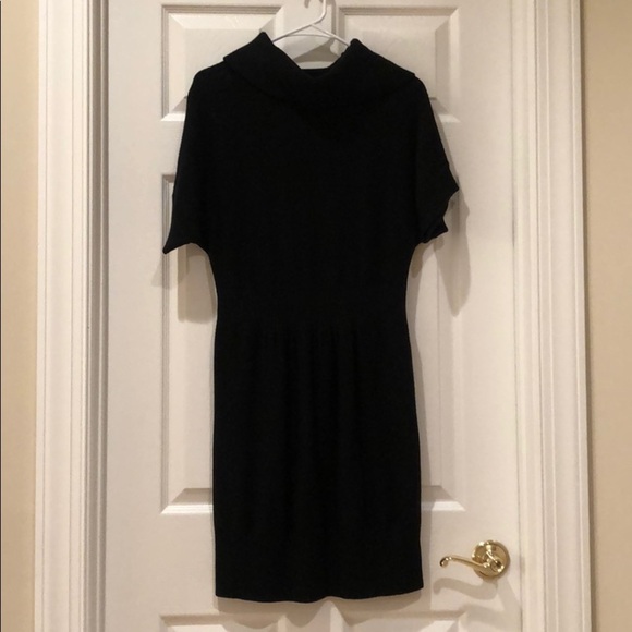 Ann Taylor LOFT sweater dress - Large - Picture 1 of 6